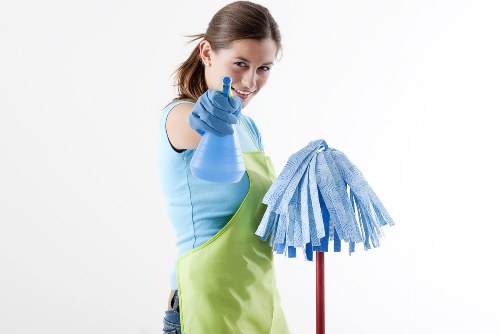 Professional upholstery cleaning in a North Sheen living room