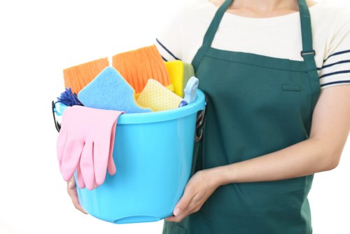 Expert on-site curtain cleaning process in North Sheen