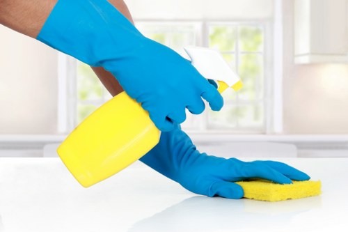 Professional sofa cleaning in a North Sheen living room