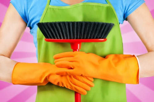 Carpet cleaning team using sustainable recycling practices in North Sheen