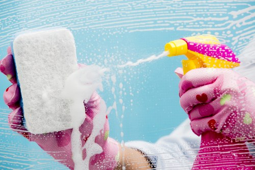 Service issue assessment during a carpet cleaning complaint