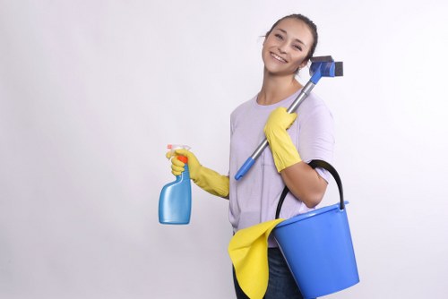 Accessibility-focused North Sheen carpet cleaners webpage layout