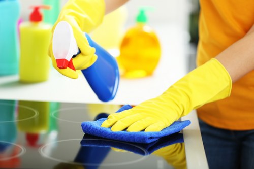 Detailed carpet cleaning service in a North Sheen property