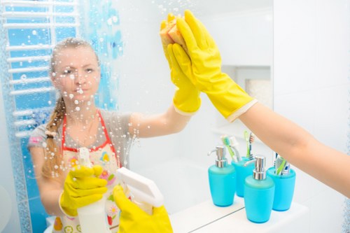 Deep carpet cleaning process in North Sheen