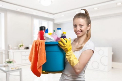 North Sheen carpet cleaning for homes and workplaces