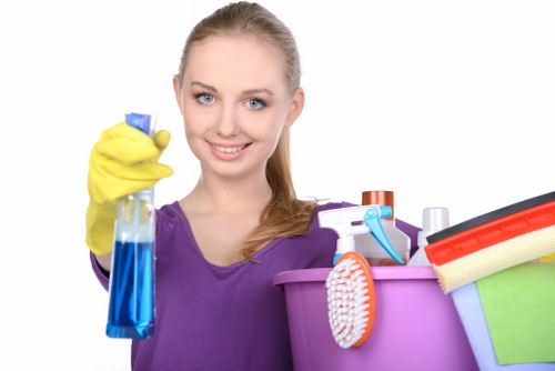 Professional North Sheen carpet cleaning for home interiors