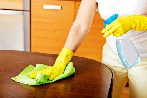 Deep upholstery cleaning equipment in use on a sofa