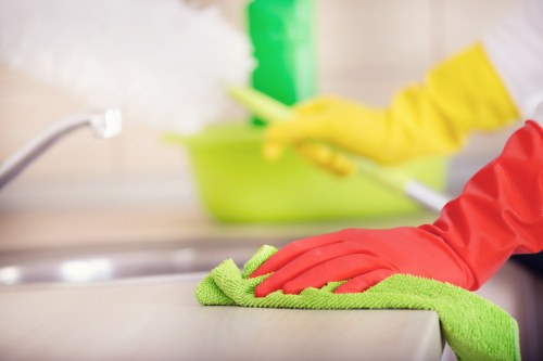 Fresh and clean living space after pet stain odour removal